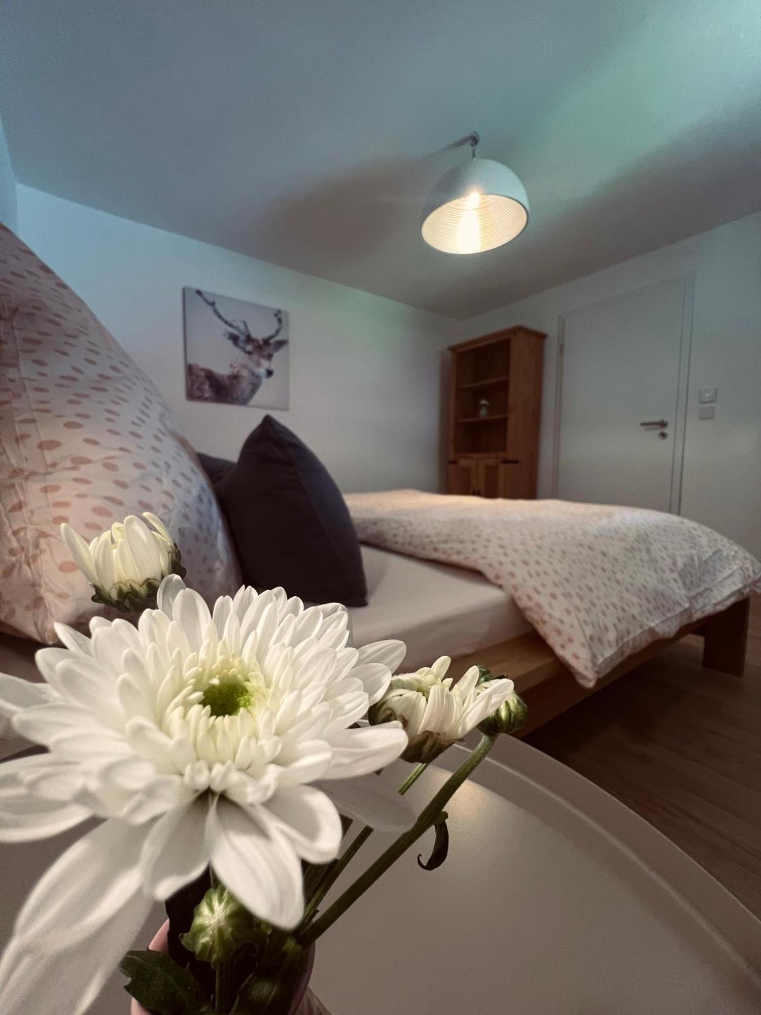Ferienwohnung Leonie Oberau  Eksteriør bilde